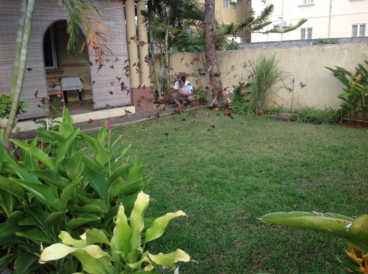 Holiday Rentals Mauritius Pointe aux Canonniers Extérieur photo